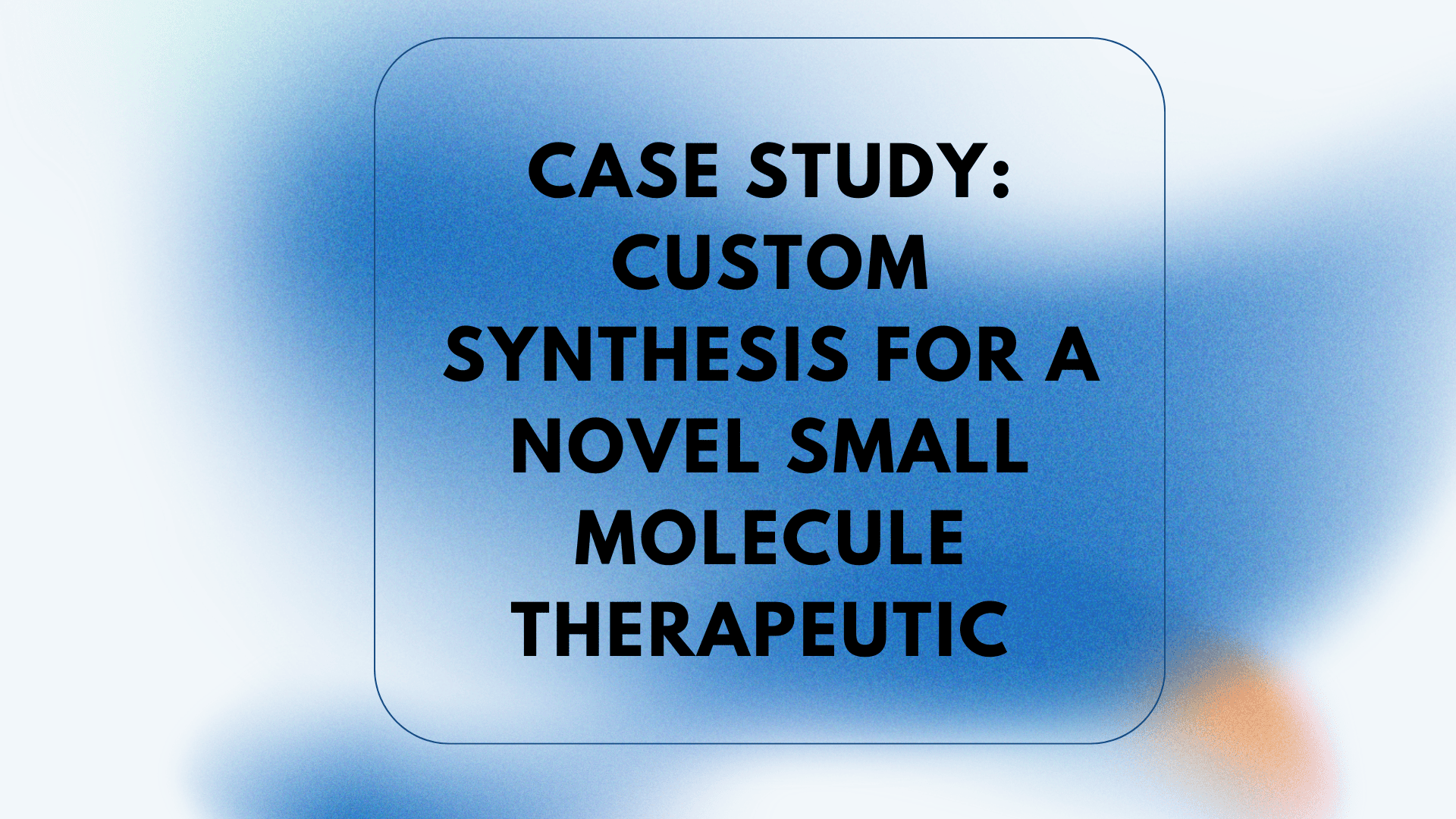 Custom Synthesis Small Molecule Case Study